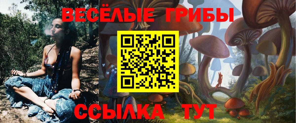 где можно купить наркотик  Галлюциногенные грибы прущие грибы  Псилоцибиновые грибы GOLDEN TEACHER  Вход с VPN  Карасук 